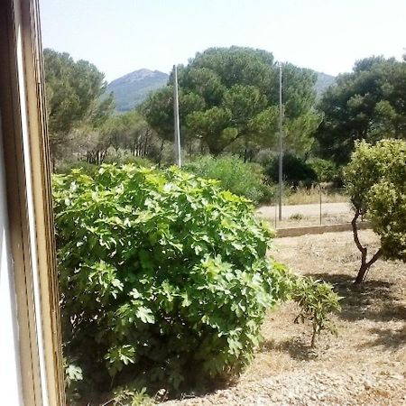Privacy & Relax In Sardegna Bed & Breakfast Порто Конте Екстериор снимка